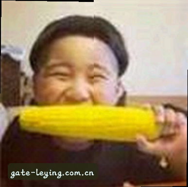 赵敏